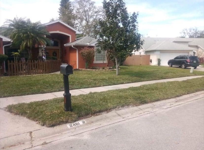 Sod Replacement for Residential Lawn