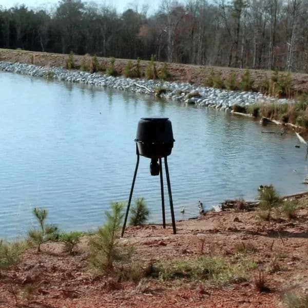Enhance Your Lake Adventures with Automatic Fish Feeders image